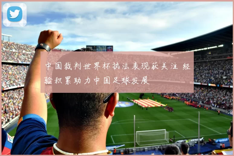 中国裁判世界杯执法表现获关注 经验积累助力中国足球发展